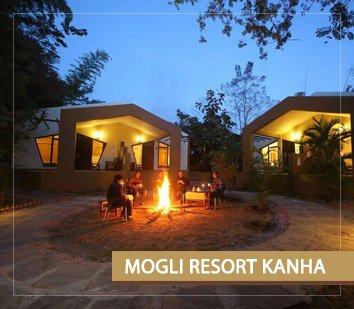 mogli-resort-kanha-home